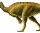 “Horse Dragon,” Colossus Dinosaurs Found in Utah