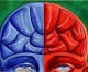 Political views are reflected in brain structure