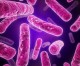 Hacking the Genome: Scientists Create New Organisms Not Found in Nature
