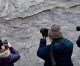 Dinosaur footprints discovered in Beijing