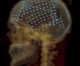 Scientists decode brain waves to eavesdrop on what we hear