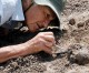 New KNM-ER Fossils Shed Light: Meet Our Ancient Distant Cousins!