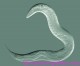 Worm complete mind control: Human brains soon?