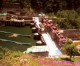Bhutan Shares Energy through Cross Border Interconnections