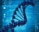The secret purpose of ‘junk DNA’: A guide
