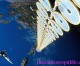 Russia enters the race for cosmic energy