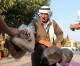 Analysis: Syria and the regional food chain