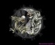 Yin-Yang 12/12/12: Twelve must-know facts about last once-in-a-lifetime date this century