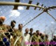 Iraq abuse inquiry was a ‘cover-up’, whistleblower tells British court