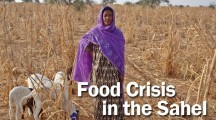 SAHEL FOOD CRISIS: Malnourished Children to remain above one million in 2013