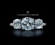 The Diamond Invention: How a Cartel and an Advertising Agency Sold it to Generations as a Required Best Friend to LOVE