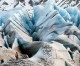 Greenland won’t give EU preference over China on Rare Earth Access