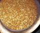 New Major Gold Deposit with Expected 200MT Reserves Discovered in Yakutia, Russian Siberia