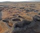35 Ancient Pyramids Unearthed at Sedeinga, Sudan Necropolis